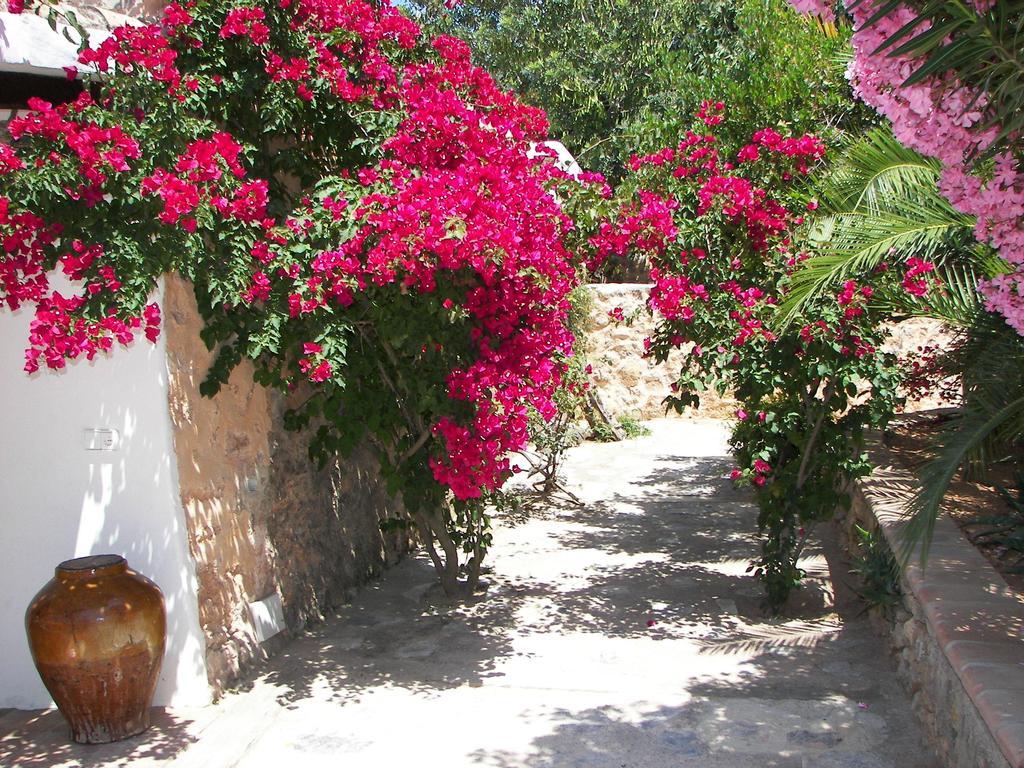 Agroturismo Can Pere Sord Villa Sant Joan De Labritja Dış mekan fotoğraf